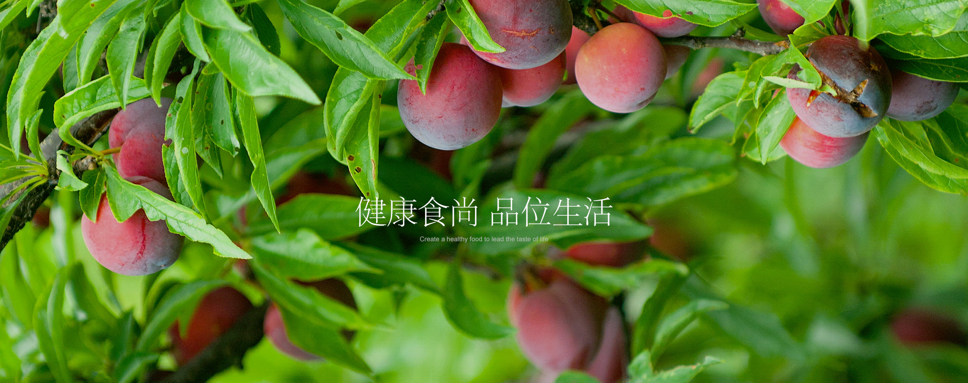 西安耍耍网|西安桑拿|西安洗浴中心